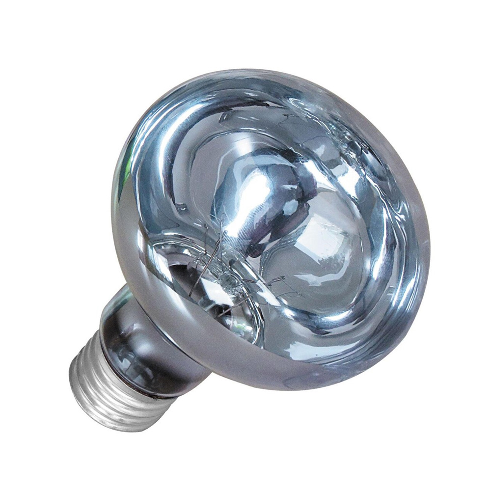 Żarówka grzewcza dzienna Day Heat 50W UVA do terrarium Happet Terra E27